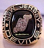 1988 NEW JERSEY DEVILS PATRICK DIVISION CHAMPIONSHIP RING !