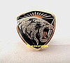 2002 SAN JOSE SABERCATS ARENA BOWL CHAMPIONSHIP RING